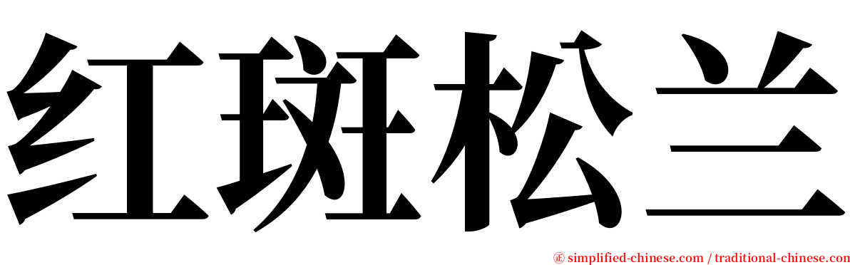 红斑松兰 serif font