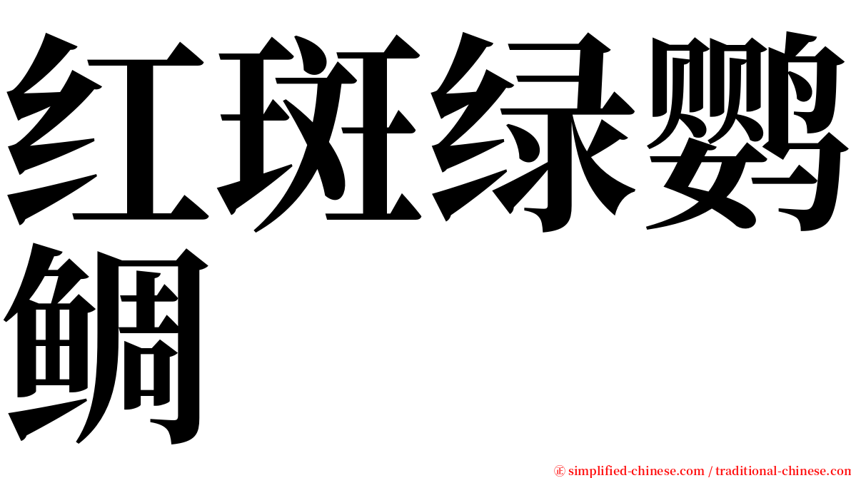 红斑绿鹦鲷 serif font