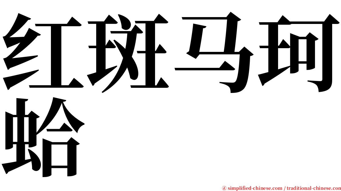 红斑马珂蛤 serif font