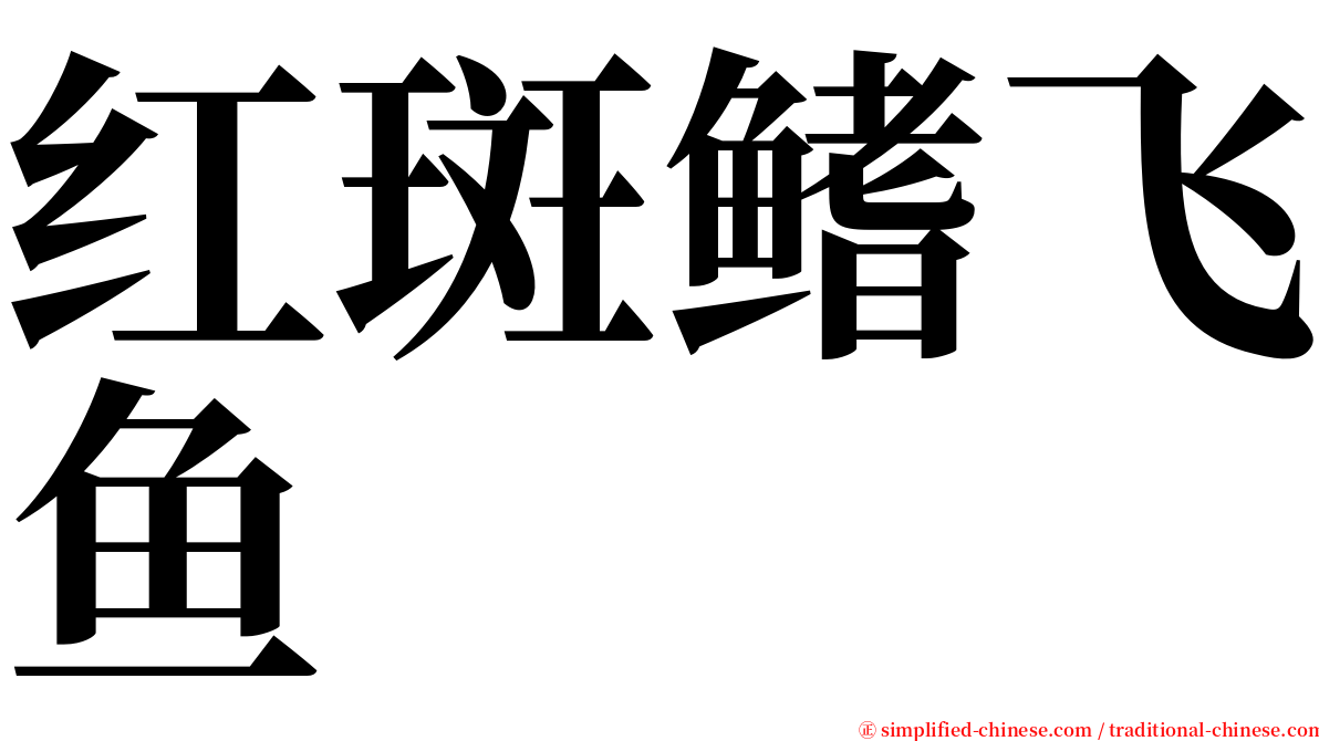 红斑鳍飞鱼 serif font