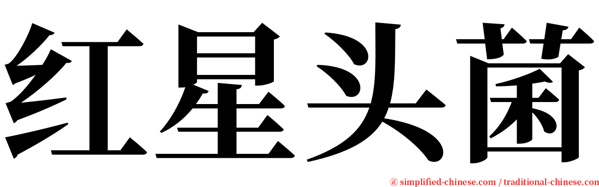 红星头菌 serif font