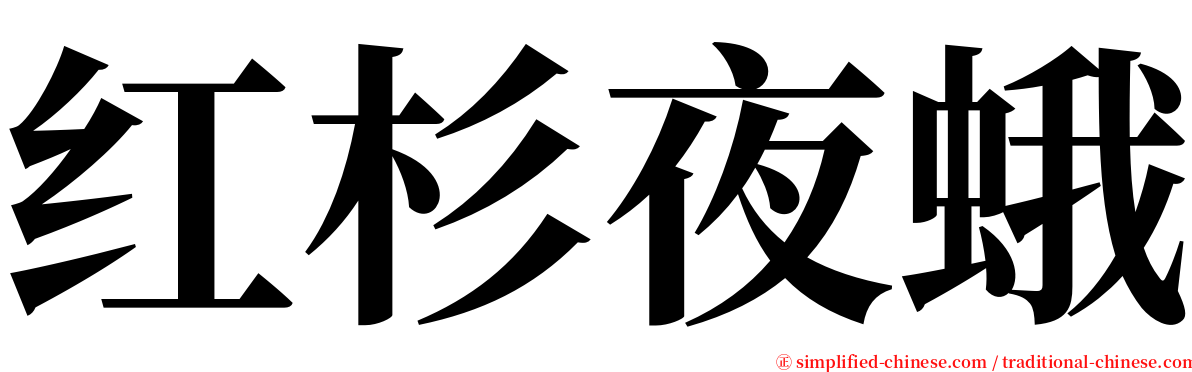 红杉夜蛾 serif font