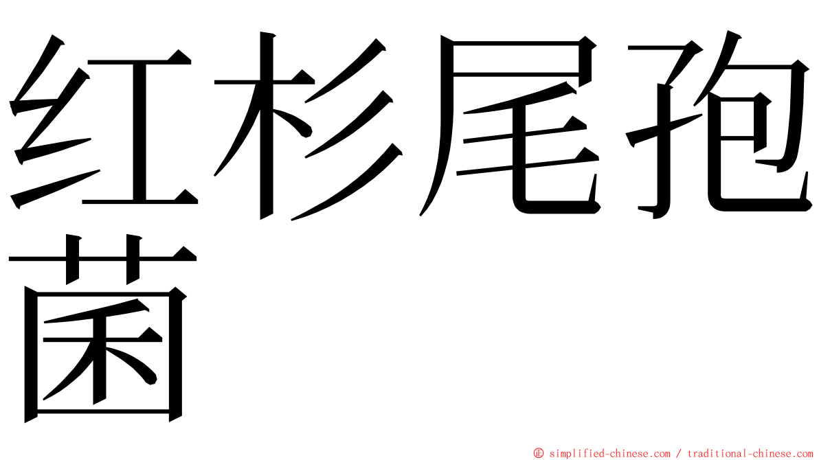 红杉尾孢菌 ming font