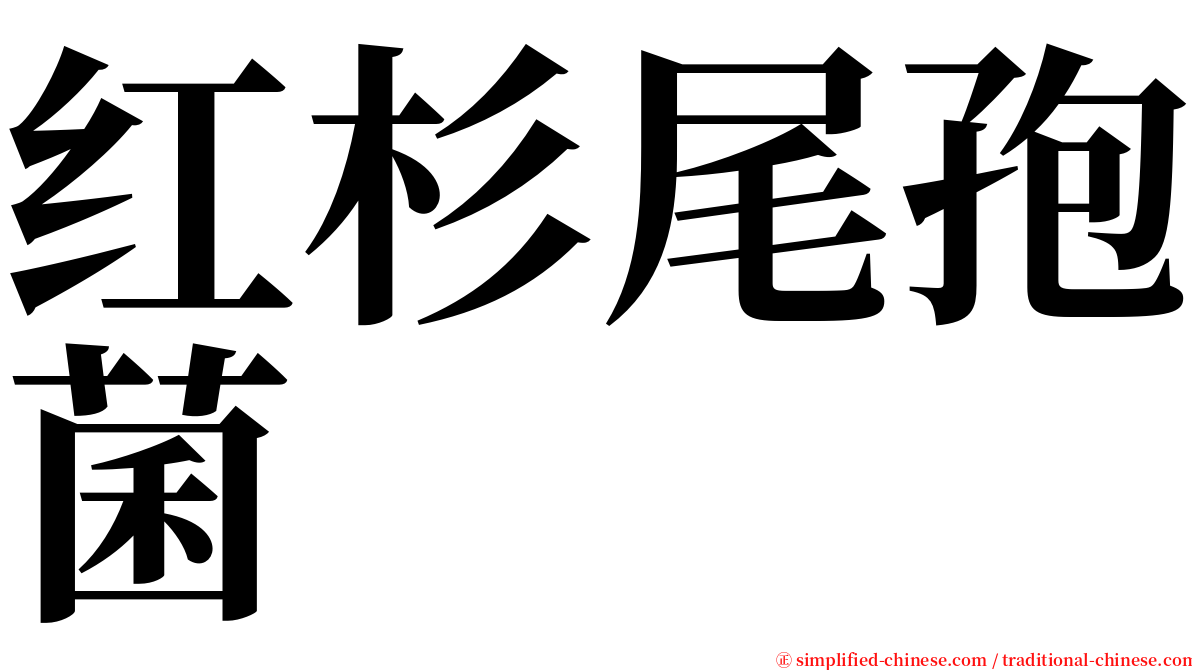 红杉尾孢菌 serif font