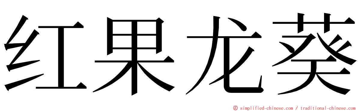 红果龙葵 ming font