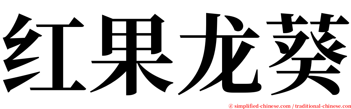 红果龙葵 serif font