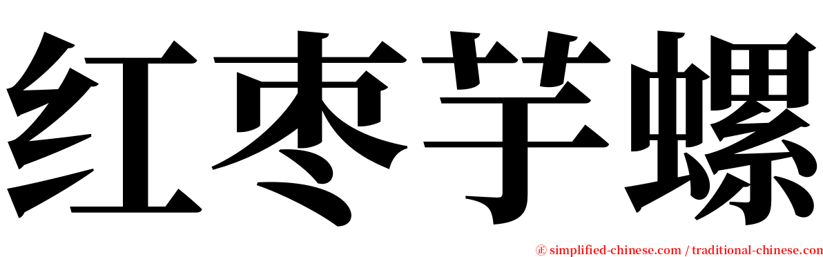 红枣芋螺 serif font