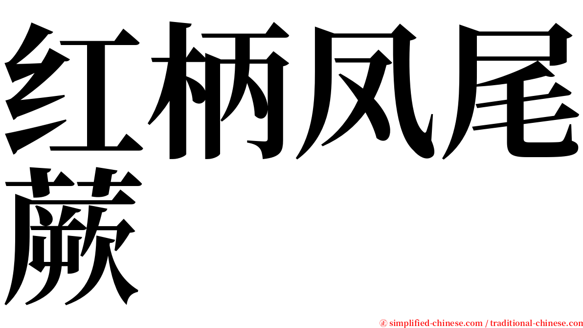 红柄凤尾蕨 serif font