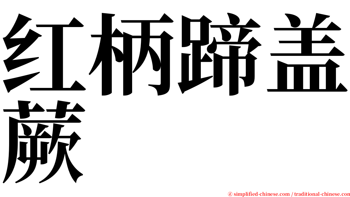 红柄蹄盖蕨 serif font