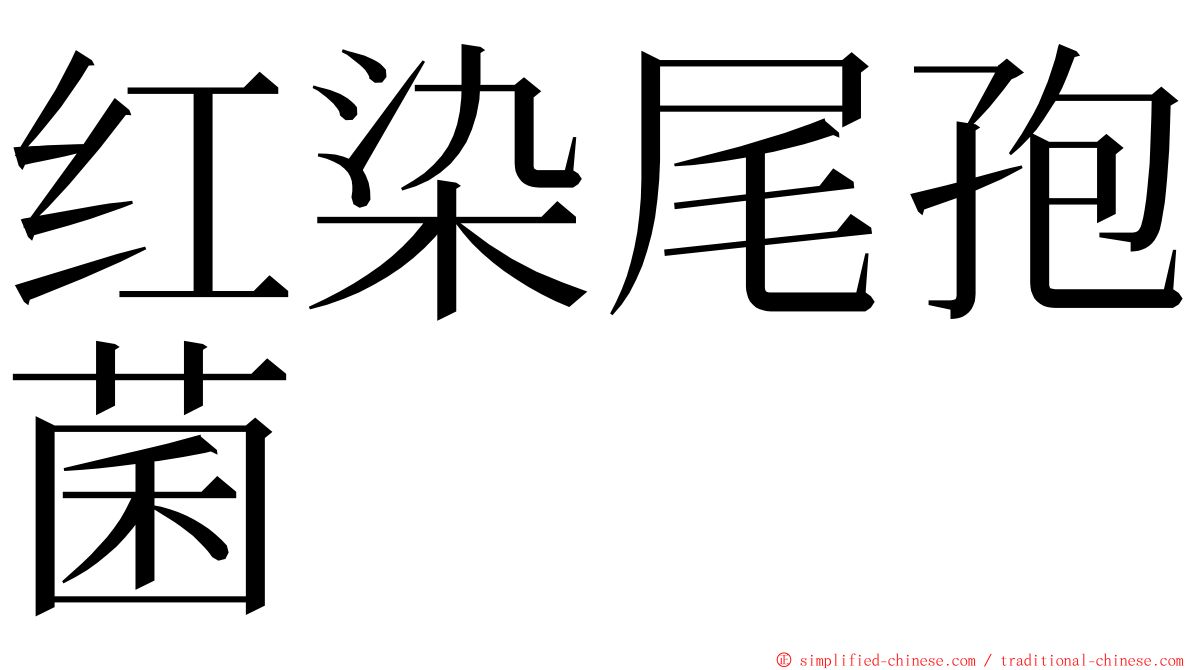 红染尾孢菌 ming font