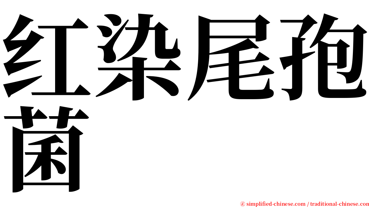 红染尾孢菌 serif font