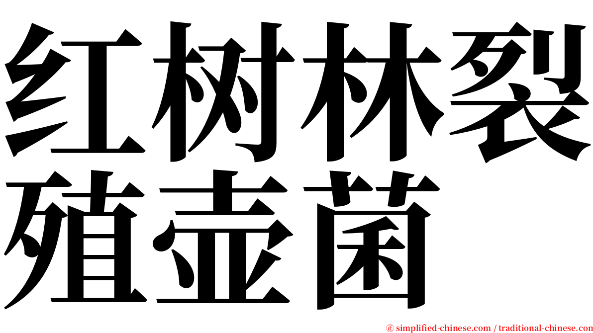 红树林裂殖壶菌 serif font