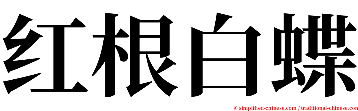 红根白蝶 serif font