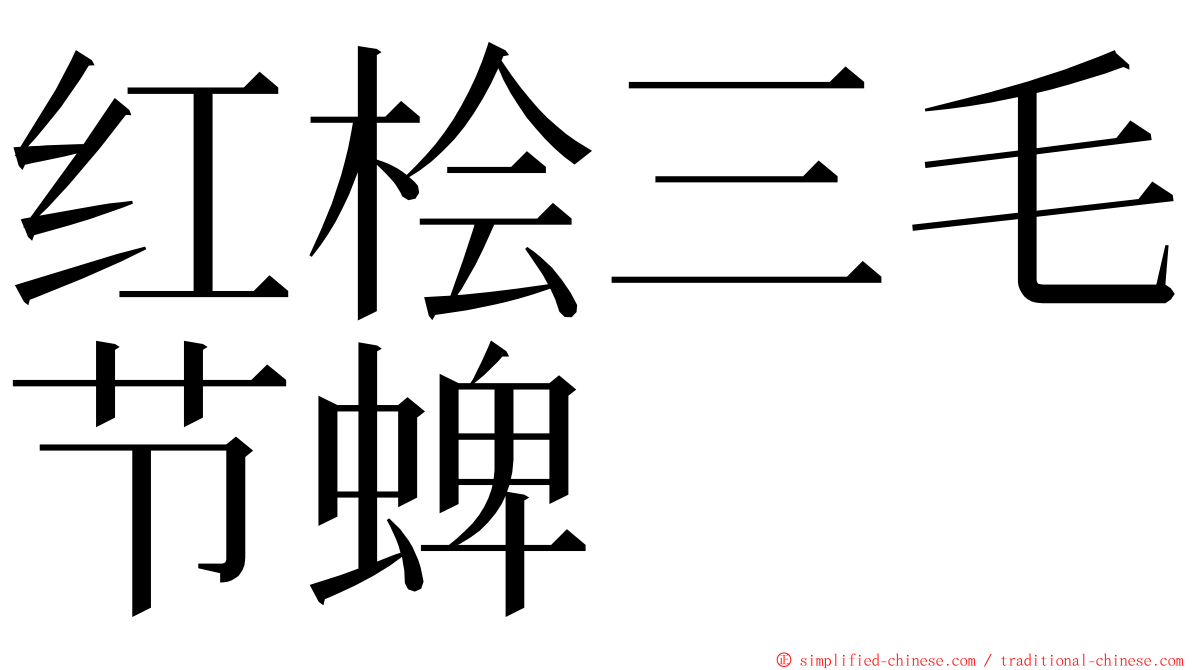 红桧三毛节蜱 ming font