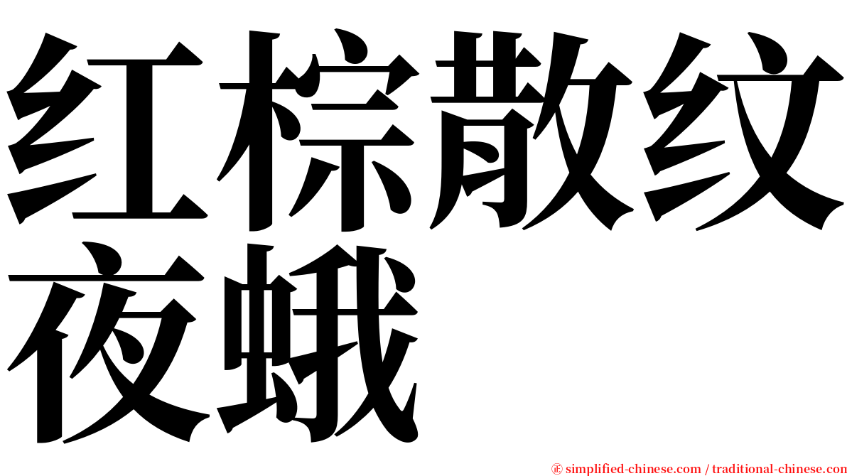 红棕散纹夜蛾 serif font