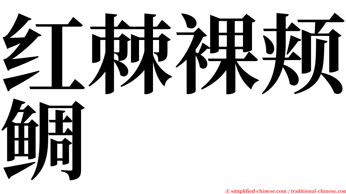 红棘裸颊鲷 serif font