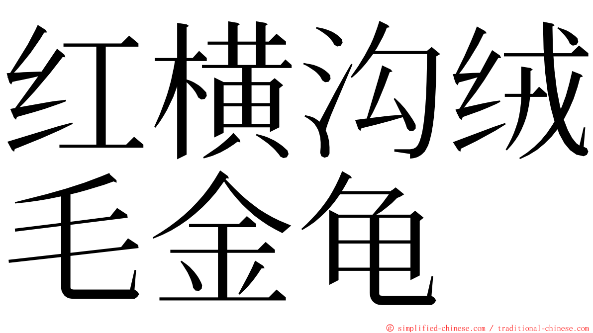 红横沟绒毛金龟 ming font