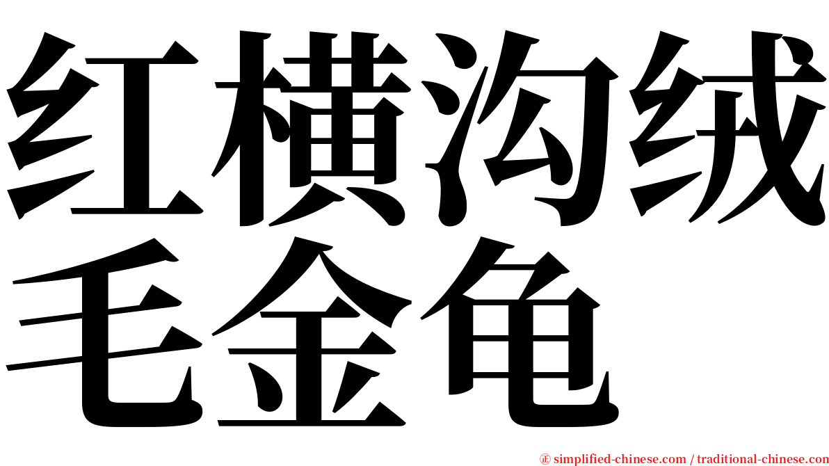 红横沟绒毛金龟 serif font