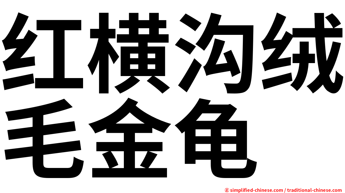 红横沟绒毛金龟