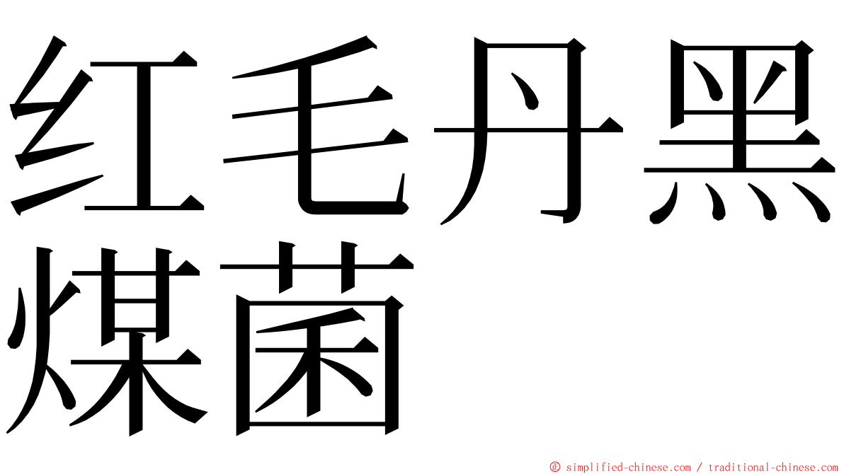 红毛丹黑煤菌 ming font