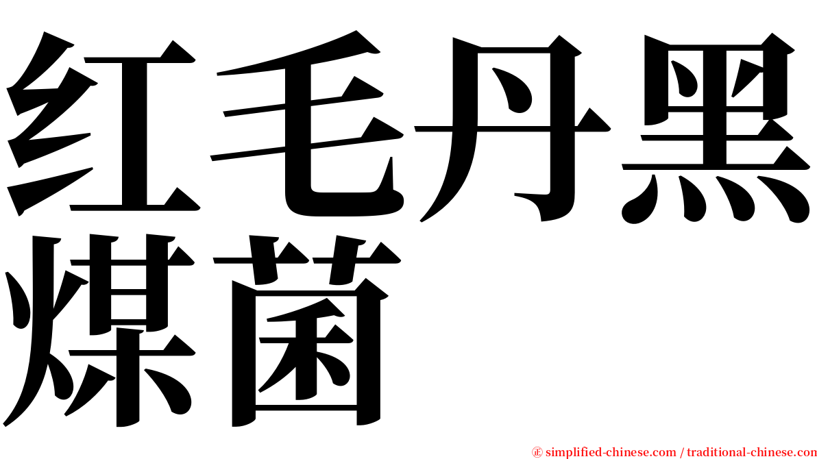 红毛丹黑煤菌 serif font