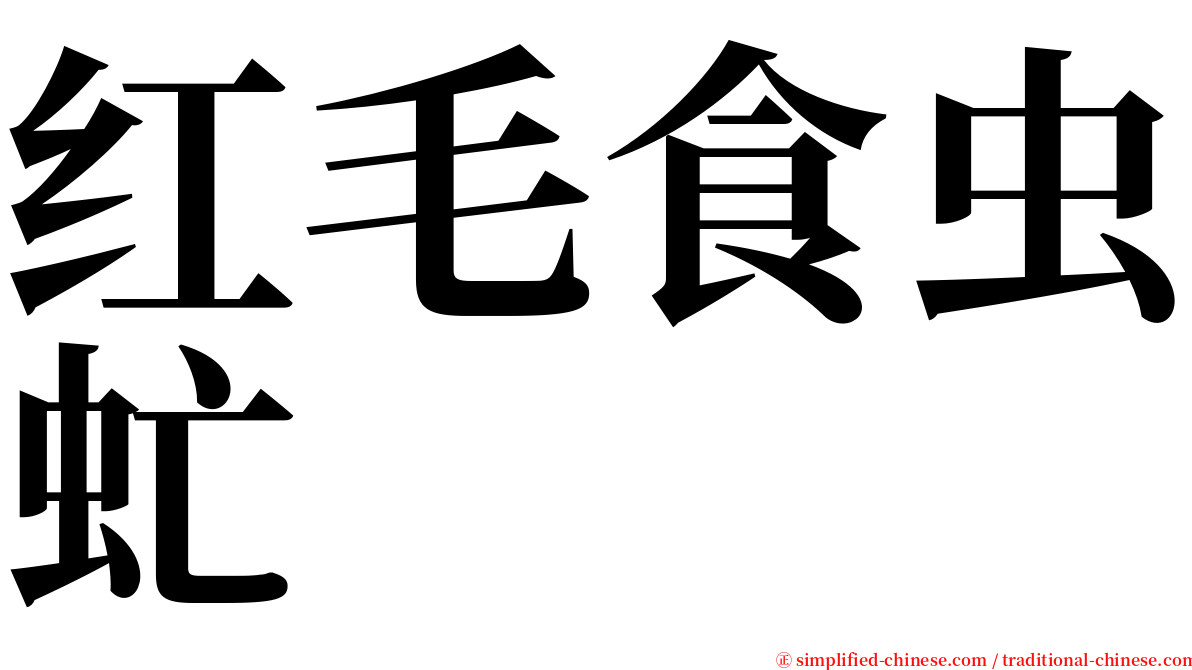 红毛食虫虻 serif font