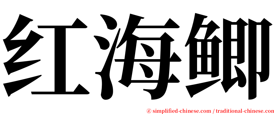 红海鲫 serif font