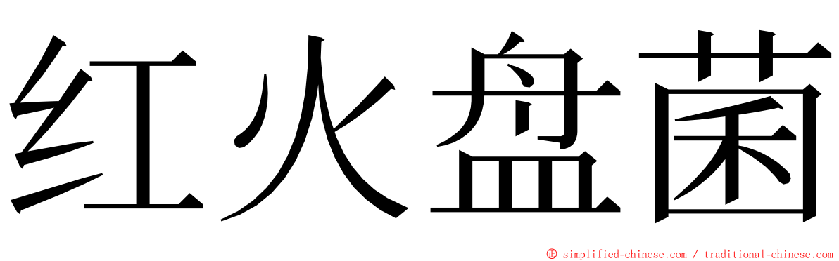 红火盘菌 ming font