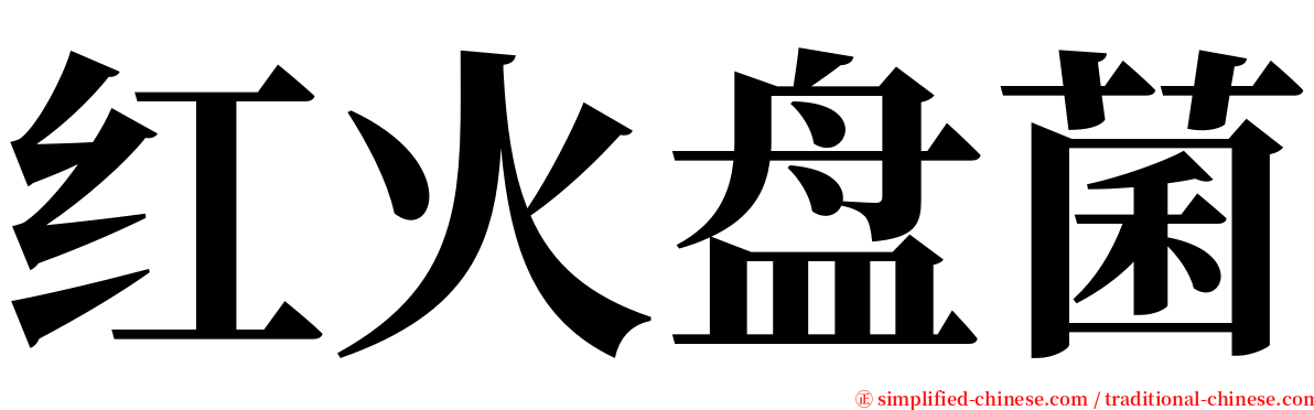 红火盘菌 serif font