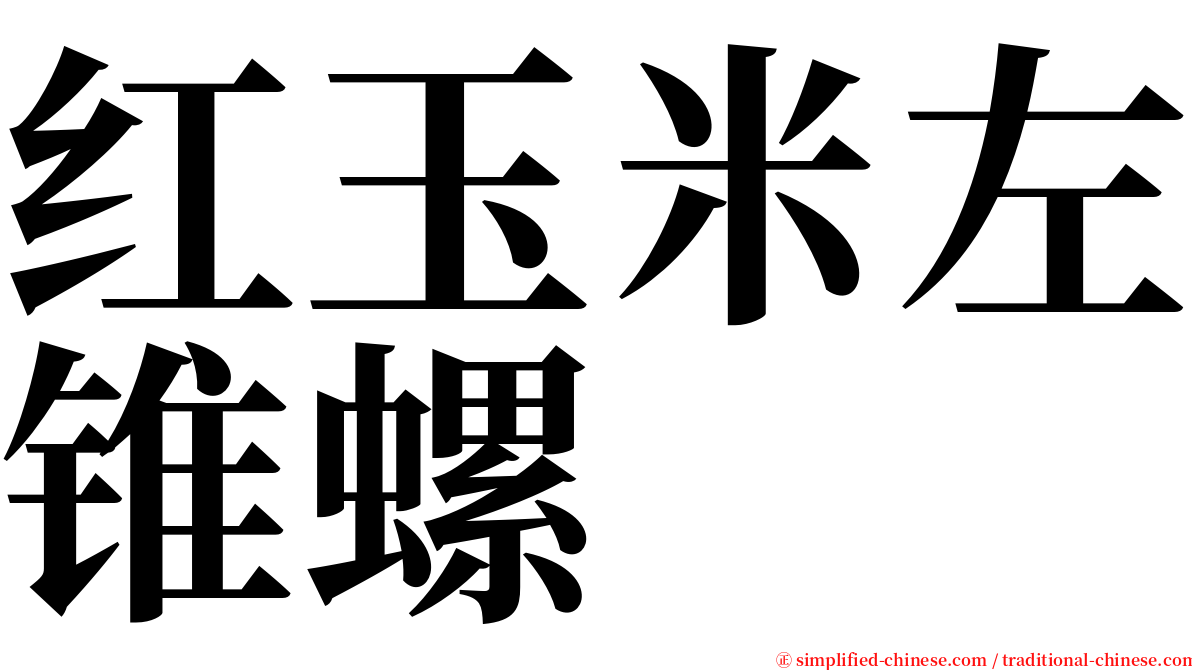 红玉米左锥螺 serif font