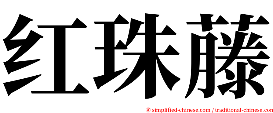 红珠藤 serif font