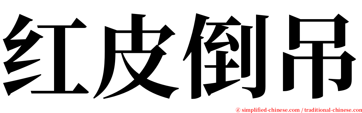 红皮倒吊 serif font