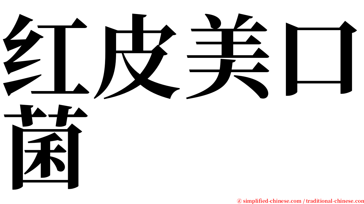 红皮美口菌 serif font