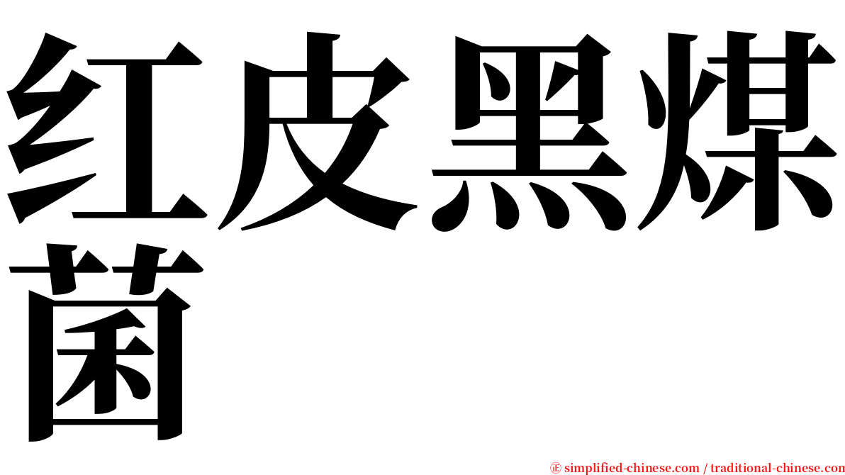 红皮黑煤菌 serif font