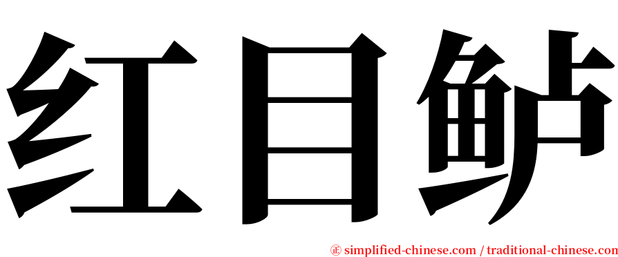 红目鲈 serif font