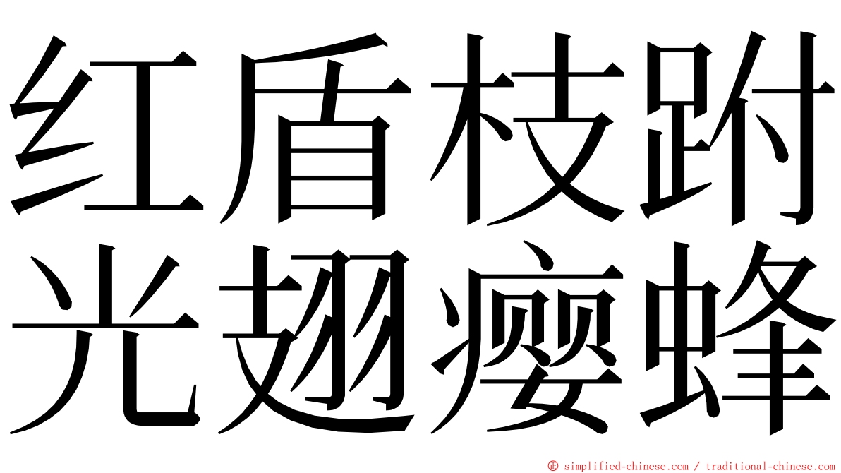 红盾枝跗光翅瘿蜂 ming font