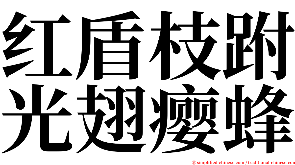 红盾枝跗光翅瘿蜂 serif font