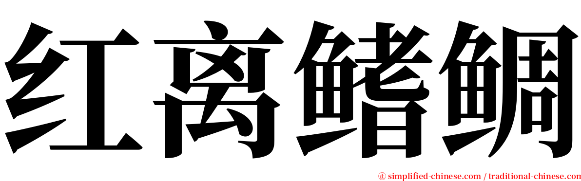 红离鳍鲷 serif font