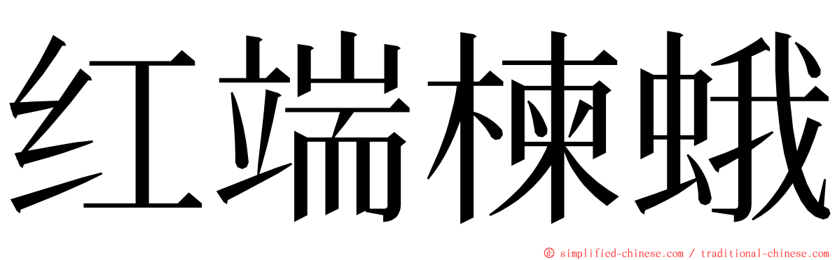 红端楝蛾 ming font