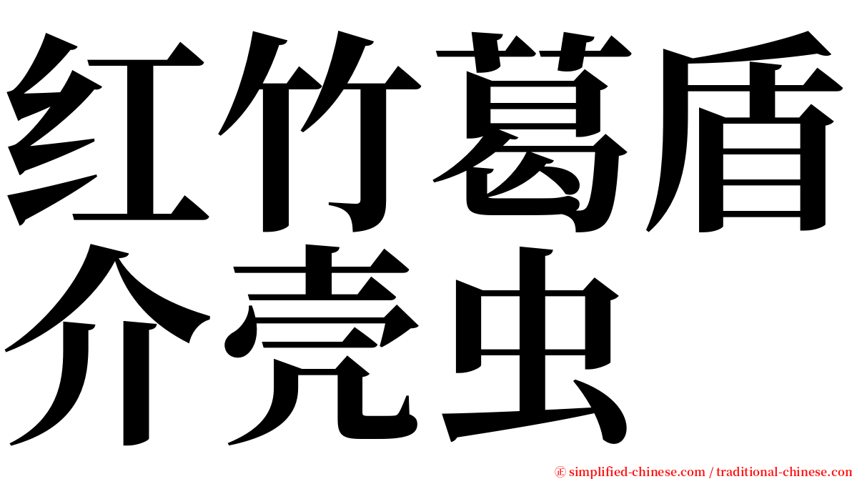 红竹葛盾介壳虫 serif font