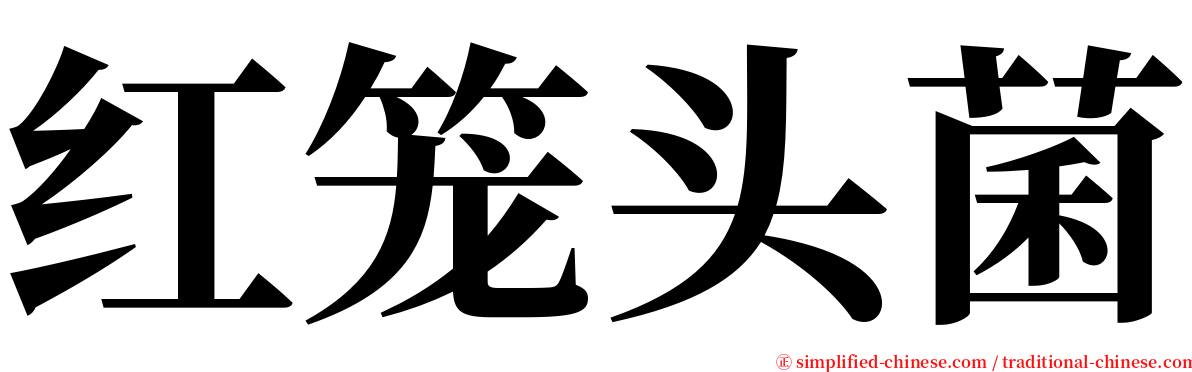 红笼头菌 serif font