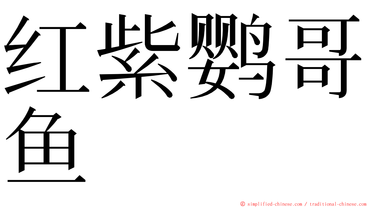 红紫鹦哥鱼 ming font