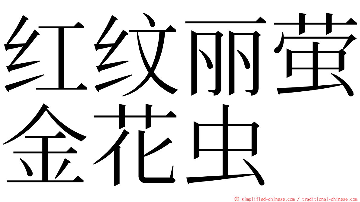 红纹丽萤金花虫 ming font