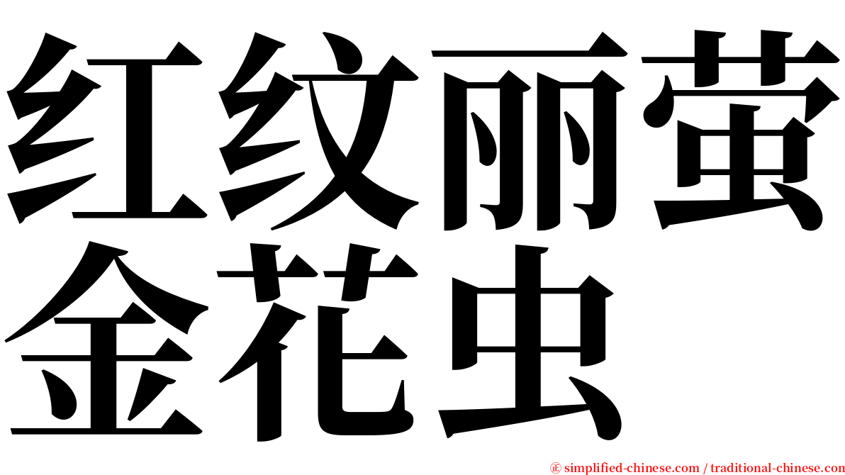 红纹丽萤金花虫 serif font