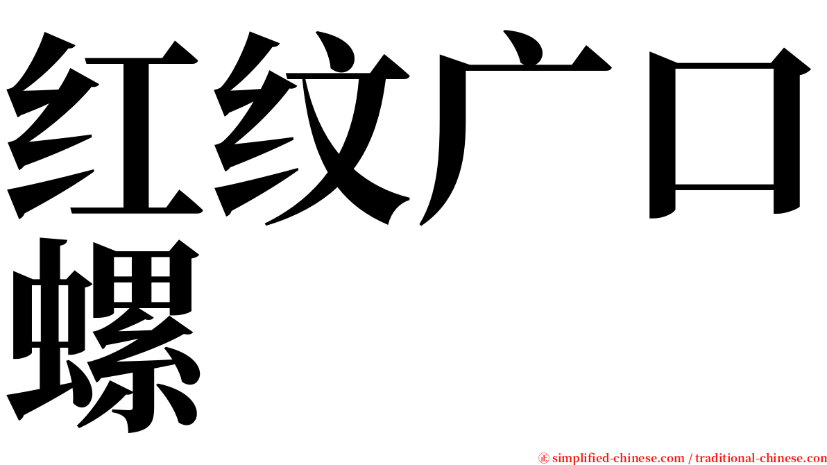 红纹广口螺 serif font
