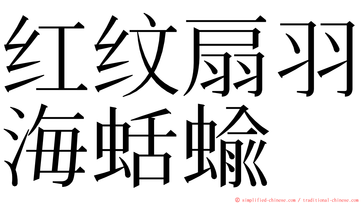 红纹扇羽海蛞蝓 ming font