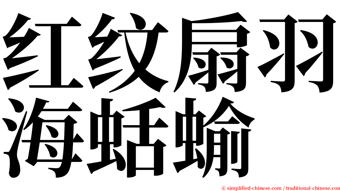 红纹扇羽海蛞蝓 serif font