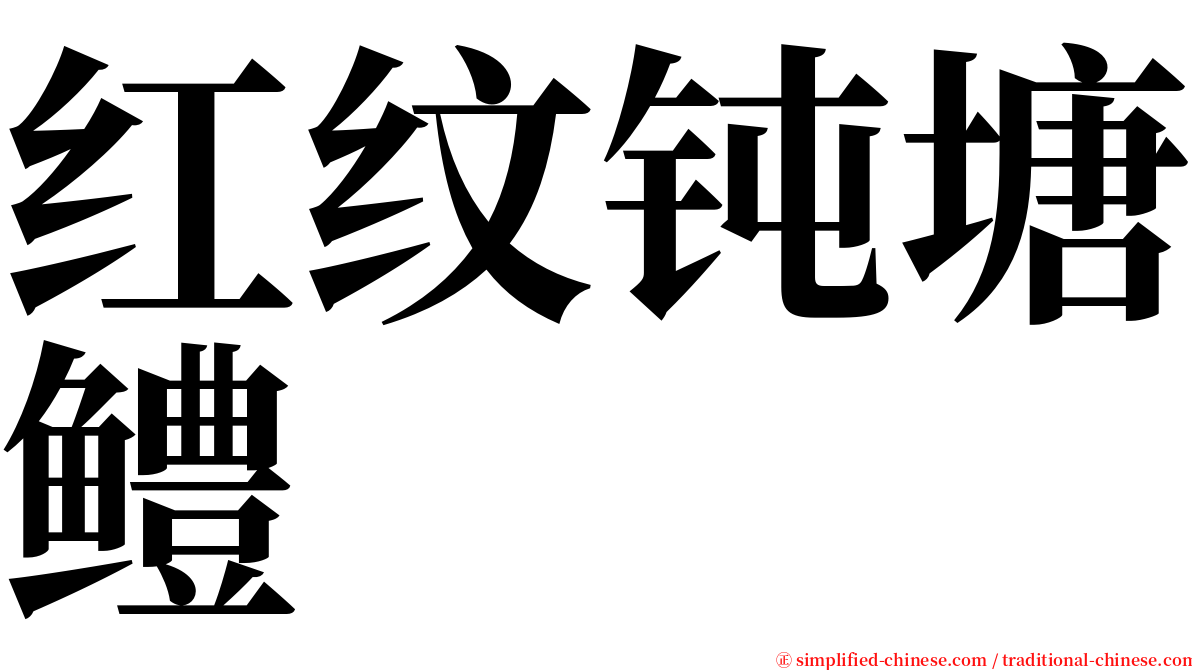 红纹钝塘鳢 serif font
