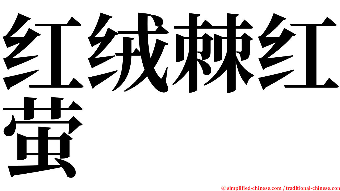 红绒棘红萤 serif font