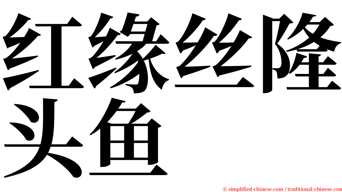 红缘丝隆头鱼 serif font